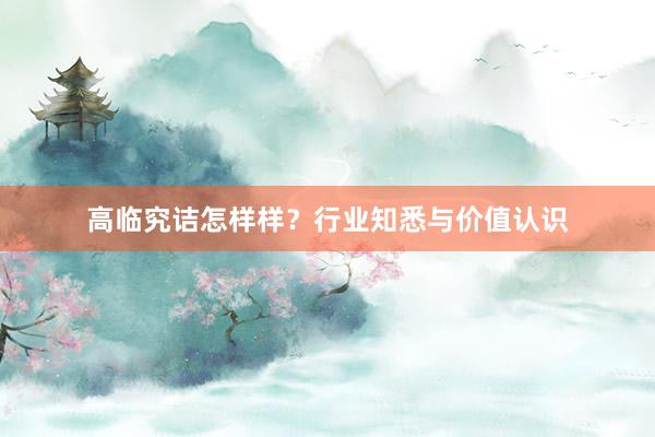 高临究诘怎样样？行业知悉与价值认识